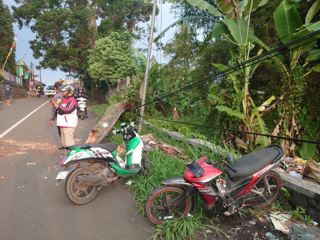 IMG-20250815-WA0073