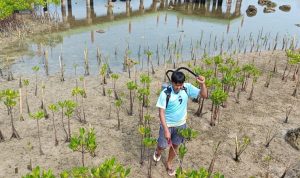 Pertamina Patra Niaga Regional Jawa Bagian Barat Luncurkan BIOGATOR untuk Rehabilitasi Mangrove