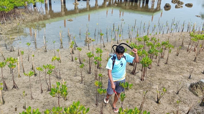 Pertamina Patra Niaga Regional Jawa Bagian Barat Luncurkan BIOGATOR untuk Rehabilitasi Mangrove