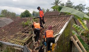IMG-20260124-WA0176