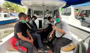 AA2bOiNu