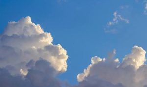 images (1)